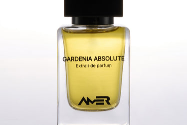 Amer Gardenia Absloute Extrait De Parfum - Stéle