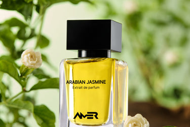 Amer Arabian Jasmine Extrait De Parfum