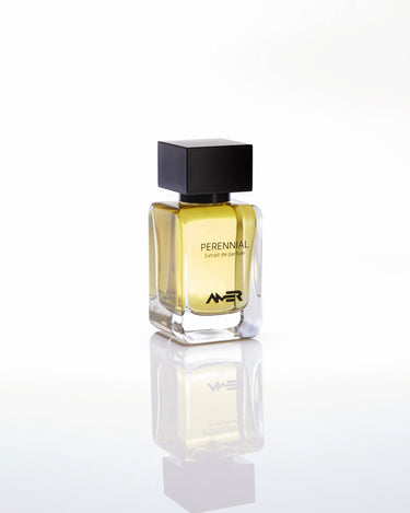Amer Perennial Extrait De Parfum - Stéle