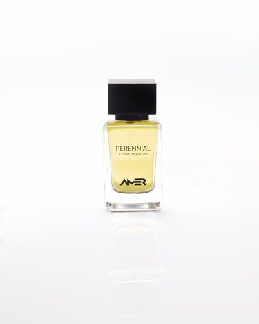 Amer Perennial Extrait De Parfum - Stéle