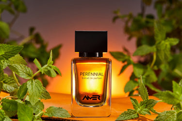 Amer Perennial Extrait De Parfum - Stéle