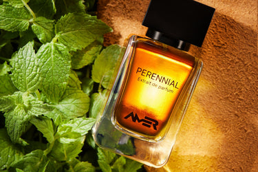 Amer Perennial Extrait De Parfum - Stéle