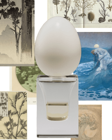 Perfume Who At Land Eau de Parfum - Stéle