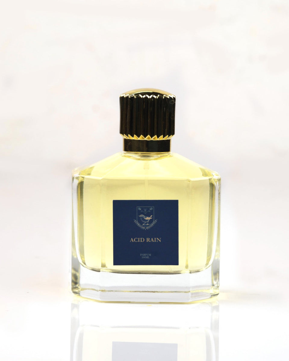 Wren Atelier Acid Rain Parfum - Stéle