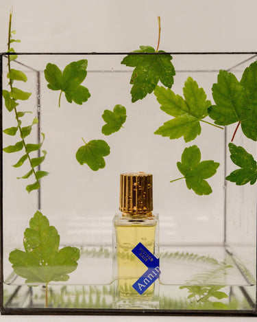 Annindriya Vetiver Rain Extrait de Parfum - Stéle