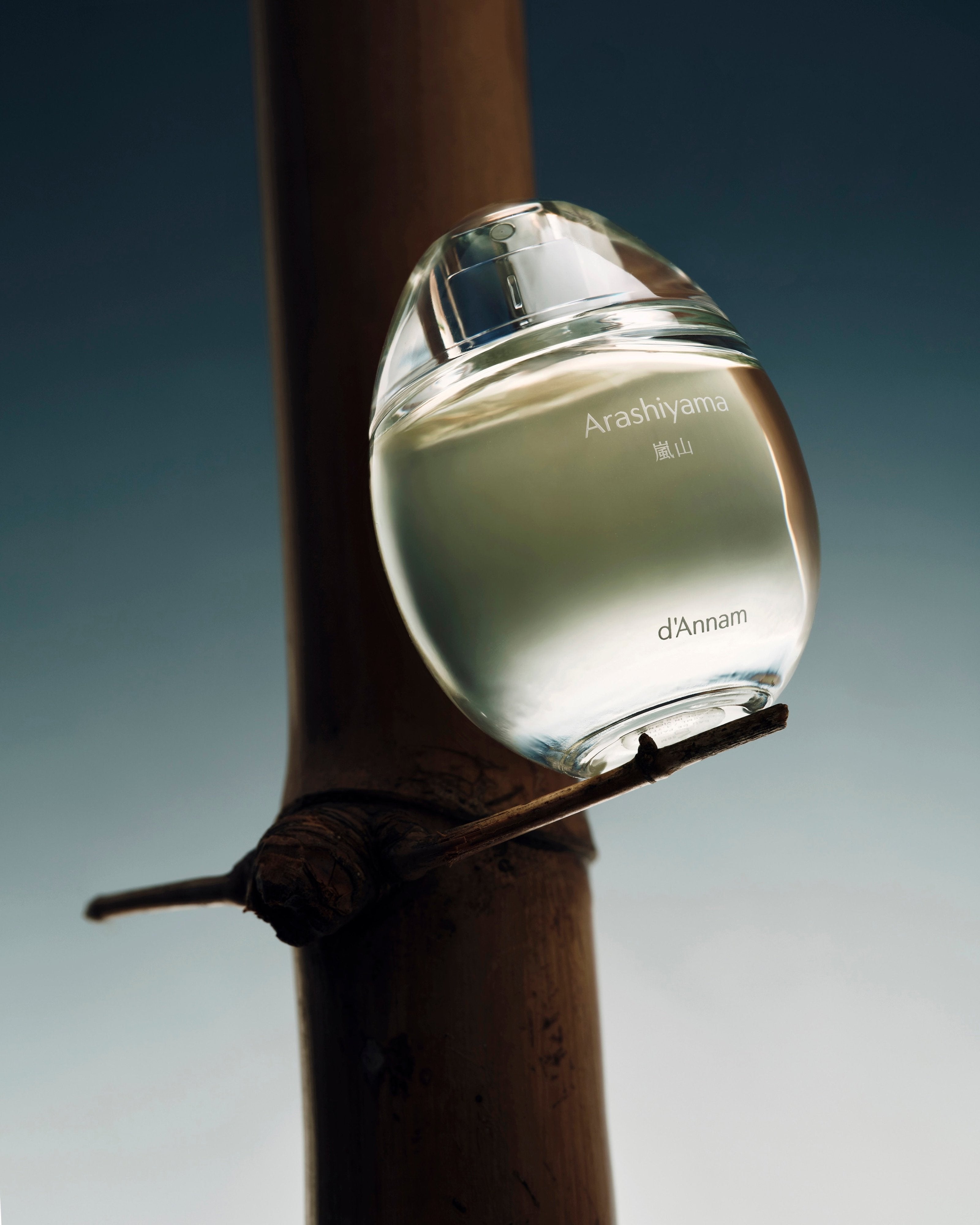 d'Annam Arashiyama ダンナム　嵐山　香水 d'Annam Arashiyama Eau de Parfum – Stéle