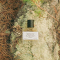 Atwood Beech Forest Eau De Parfum - Stéle