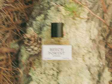 Atwood Beech Forest Eau De Parfum - Stéle