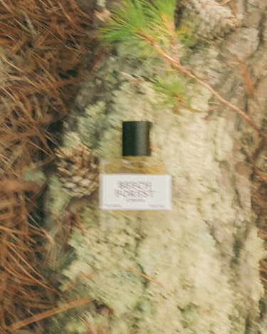 Atwood Beech Forest Eau De Parfum - Stéle