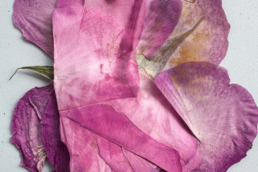 NOSU Been Trying To Meet You Eau de Parfum - Stéle