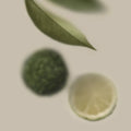 Belnu Bergamot Brio Eau de Parfum - Stéle