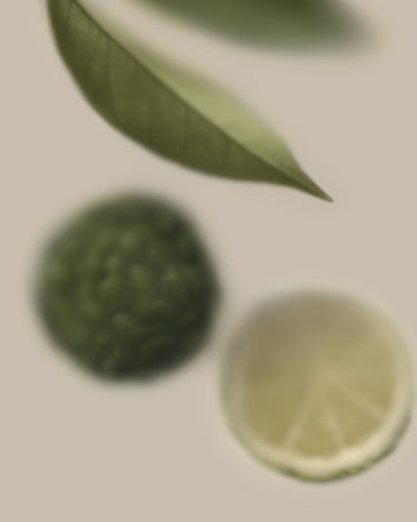 Belnu Bergamot Brio Eau de Parfum - Stéle