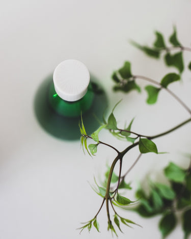 Brume Orpin Odosman Eau de Parfum - Stéle