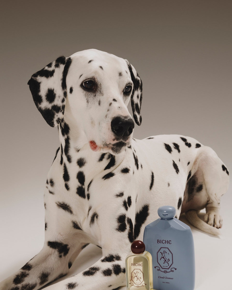 Biche Cloud Cleanser for Dogs - Stéle