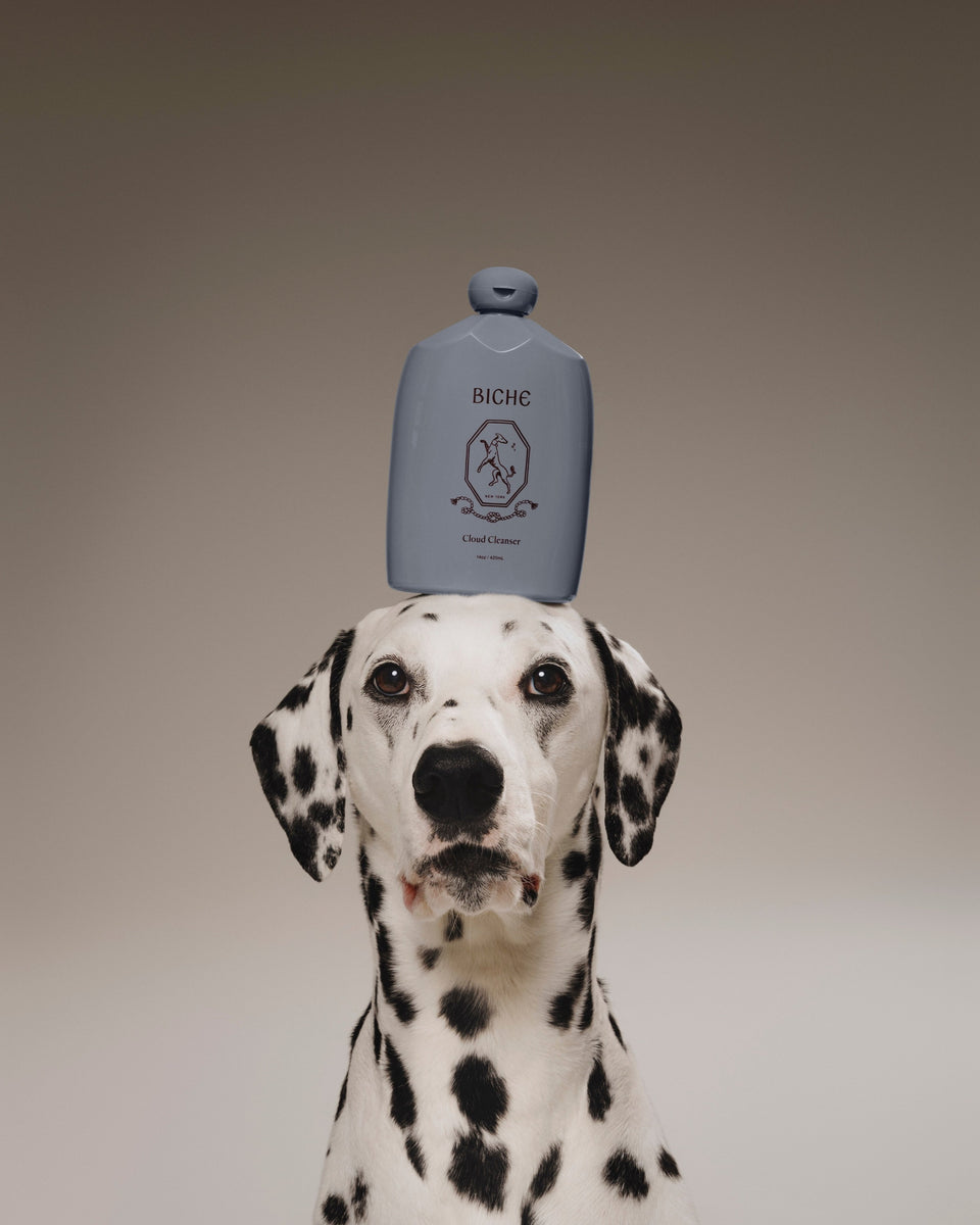 Biche Cloud Cleanser for Dogs - Stéle