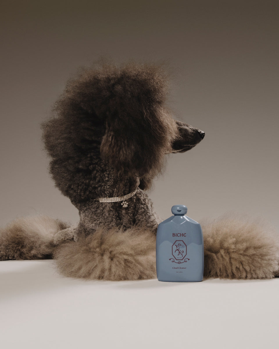 Biche Cloud Cleanser for Dogs - Stéle