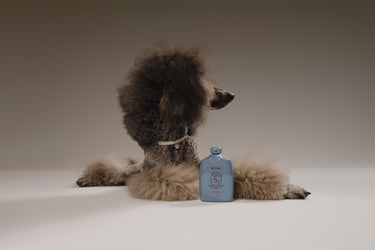 Biche Cloud Cleanser for Dogs - Stéle