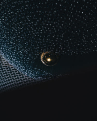 Pigmentarium Brutal Eau de Parfum - Stéle