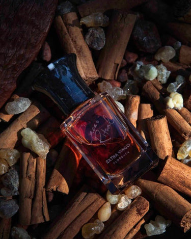 Extra Virgo Cacao Ritual Extrait de Parfum - Stéle