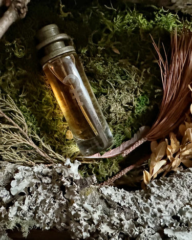 CLST Perfumes Rile Eau de Parfum - Stéle