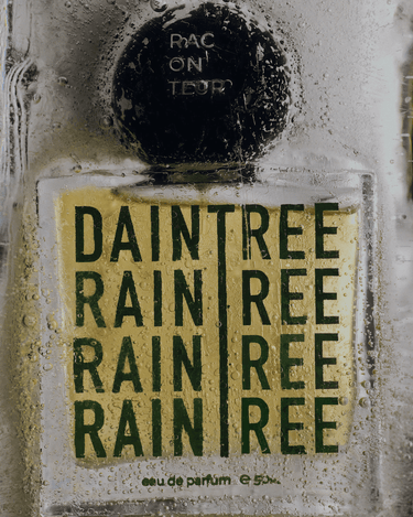 The Raconteur Daintree Rain Tea Eau de Parfum - Stéle