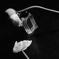Fine Scents Joie de Sannes Eau de Parfum - Stéle