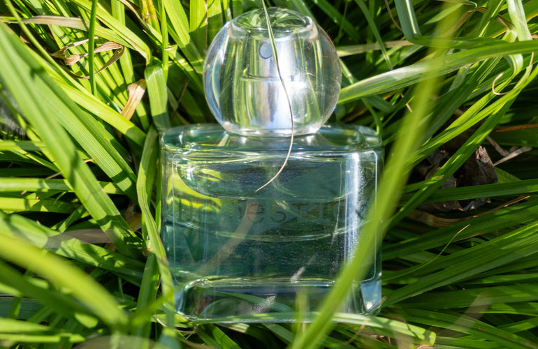 Domestica Yard Eau de Parfum - Stéle