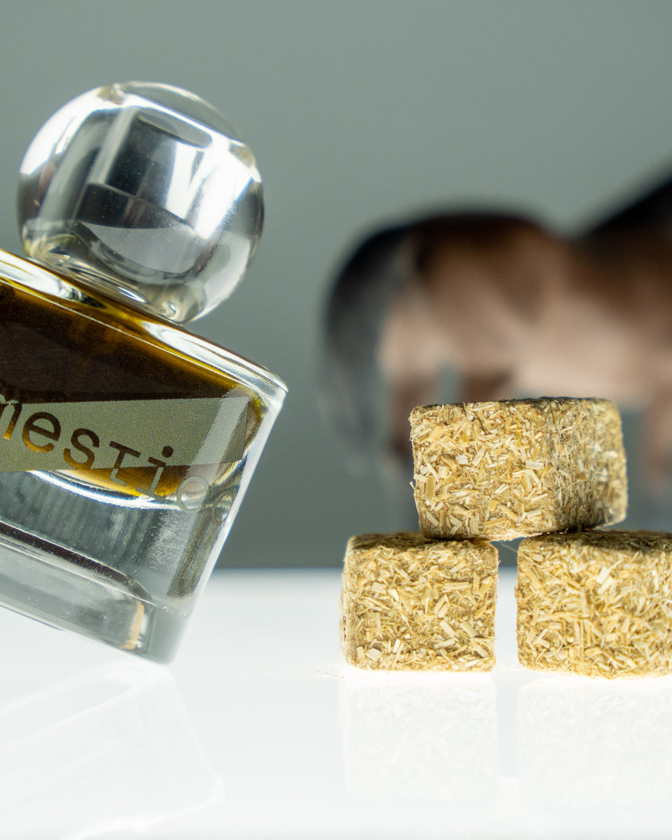 Domestica In The Saddle Eau de Parfum - Stéle