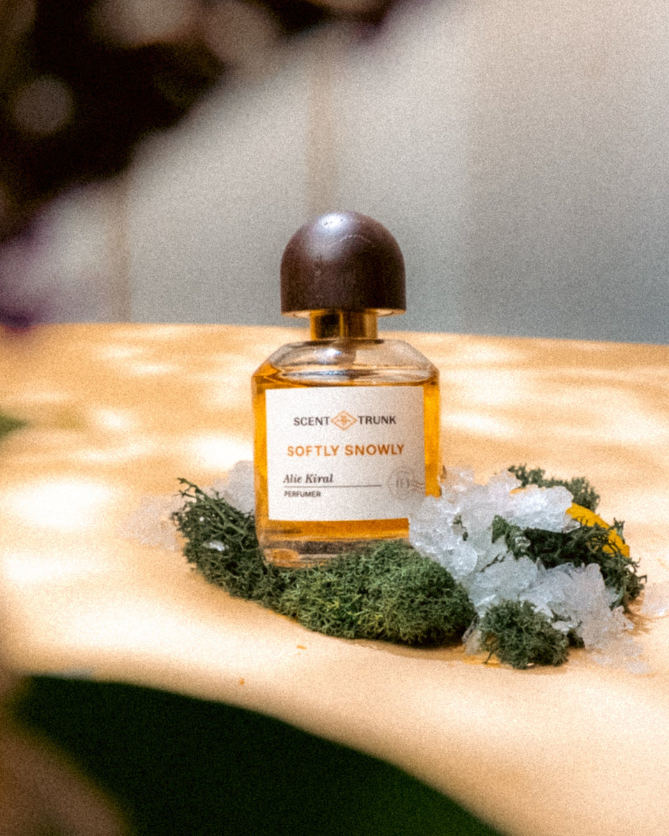 Scent Trunk Softly Snowly Eau de Parfum - Stéle
