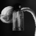 Fine Scents Joie de Sannes Eau de Parfum - Stéle