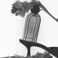 Fine Scents Fashionably Late Eau de Parfum - Stéle