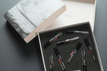 NOMR Collected Fragments Discovery Set - Stéle