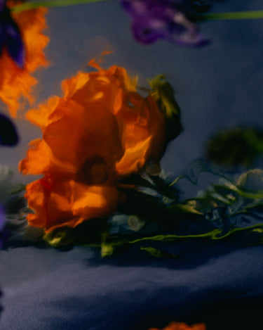 SYD Sample Set - Stéle