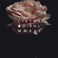 D:SOL MMXVI Cistus Eau de Parfum - Stéle