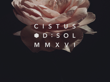 D:SOL MMXVI Cistus Eau de Parfum - Stéle