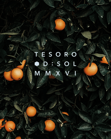 D:SOL MMXVI Tesoro Eau de Parfum - Stéle