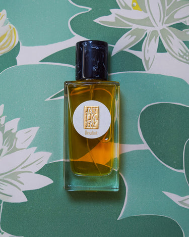 January Scent Project Dinudisit Eau de Parfum - Stéle