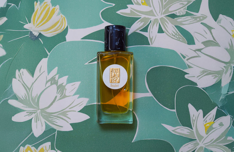 January Scent Project Dinudisit Eau de Parfum - Stéle