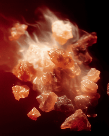 L'Entropiste Ensang Noir Eau de Parfum - Stéle