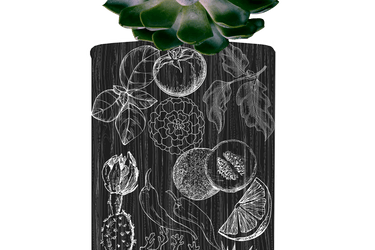 Flâner Fiesta Del Agave Eau De Parfum - Stéle