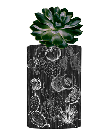 Flâner Fiesta Del Agave Eau De Parfum - Stéle