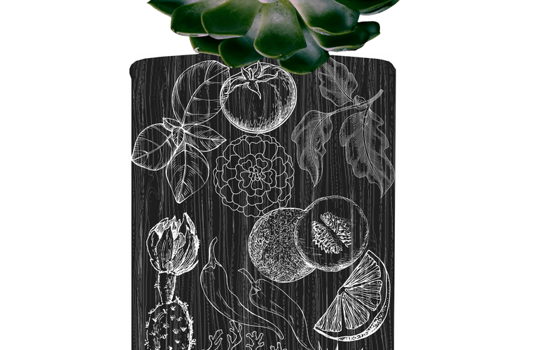 Flâner Fiesta Del Agave Eau De Parfum - Stéle
