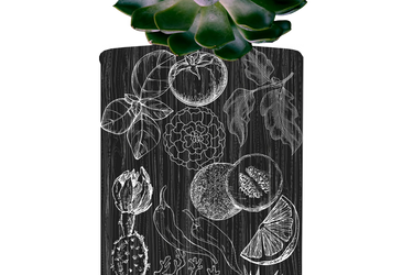 Flâner Fiesta Del Agave Eau De Parfum