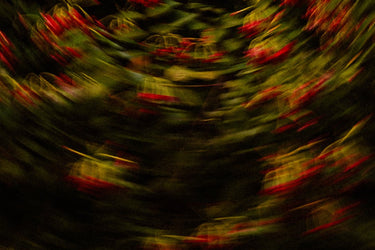 Param Sara Season 002 Discovery Set - Stéle