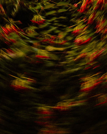 Param Sara Season 002 Discovery Set - Stéle