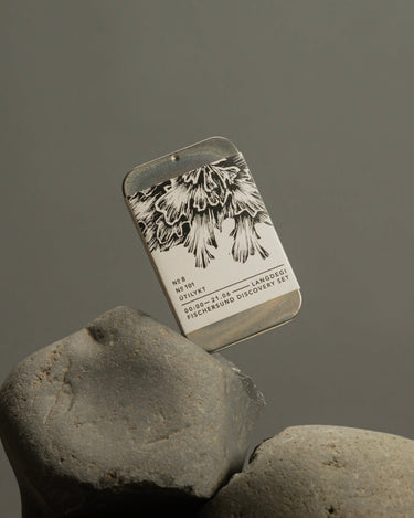 Fischersund Langdegi (Light) Discovery Set - Stéle