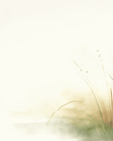 d'Annam Memories of Japan Discovery Set - Stéle