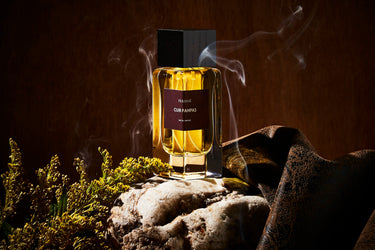 Frassaï Cuir Pampas Eau de Parfum - Stéle