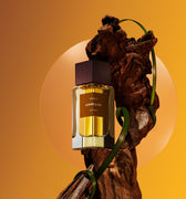 Frassaï Dormir al Sol Eau de Parfum at Stéle