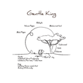 Voice From The Sky Gentle King Eau de Parfum - Stéle